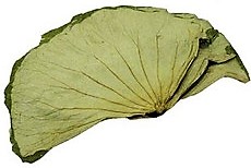 微山湖【干荷叶】整张荷叶干 包糯米鸡荷叶饭专用 (10-11片装) 454g